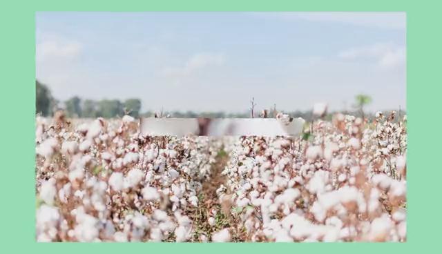 棉助力數(shù)字化紡織供應(yīng)鏈